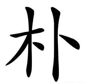 朴
